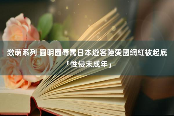 激萌系列 圓明園辱罵日本遊客　陸愛國網紅被起底「性侵未成年」