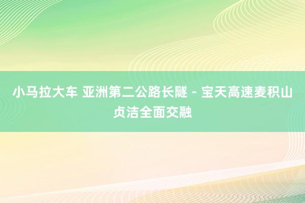 小马拉大车 亚洲第二公路长隧－宝天高速麦积山贞洁全面交融